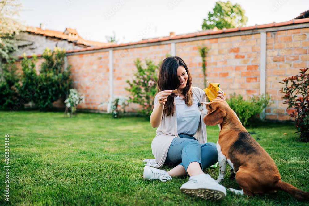 美丽的女人在后院喂她的小猎犬。