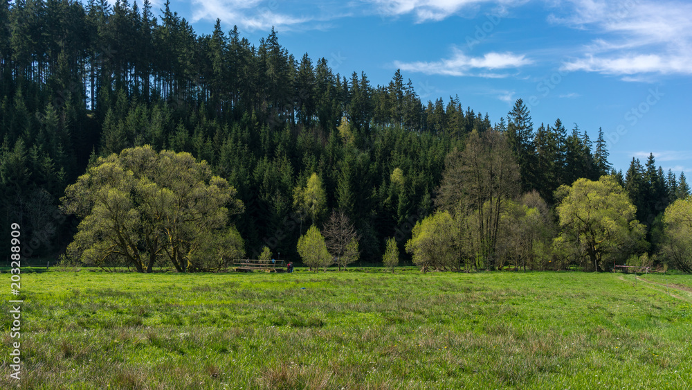 瓦尔德兰沙夫特Mittelgebirge Harz