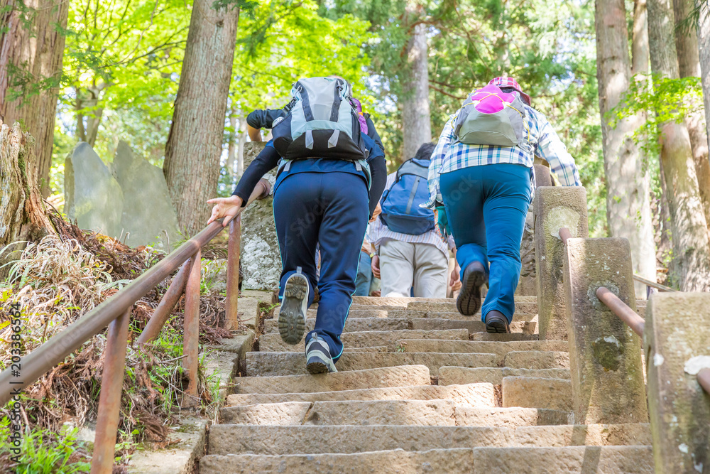 登山道の階段を登る人々