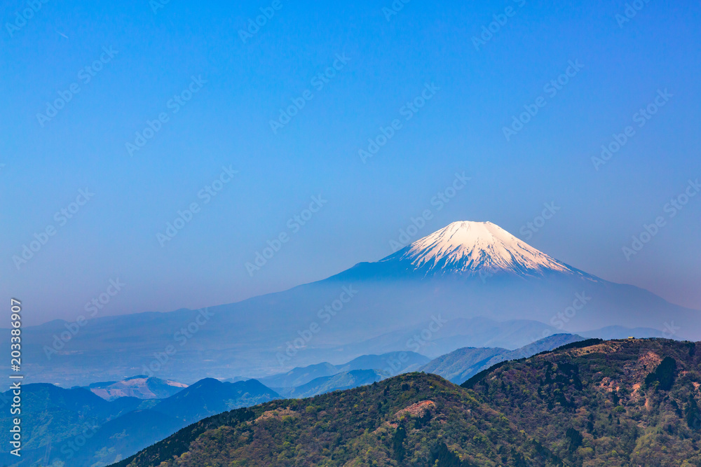 新緑と富士山