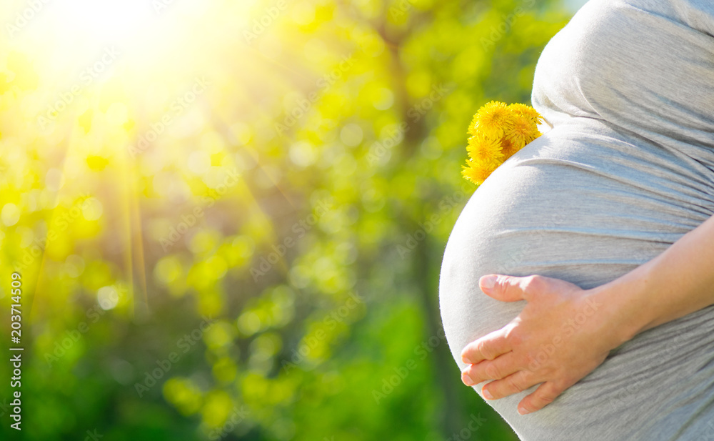 Pregnant Woman Belly. Pregnancy Concept. Over green nature blurred Background. Pregnant tummy close 