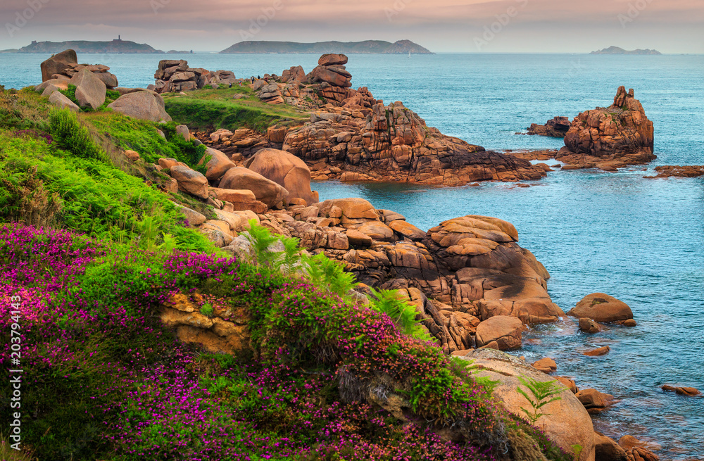 Atlantic ocean coastline with colorful flowers and cliffs, Ploumanach, France