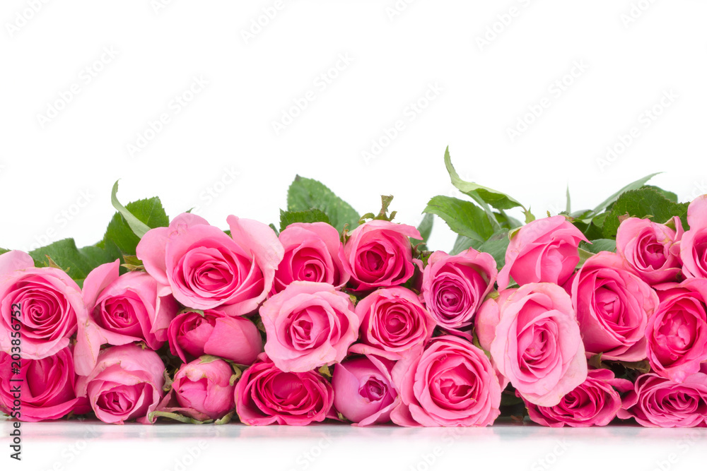 border of Beautiful fresh sweet pink rose for love romantic valentine or a wedding background