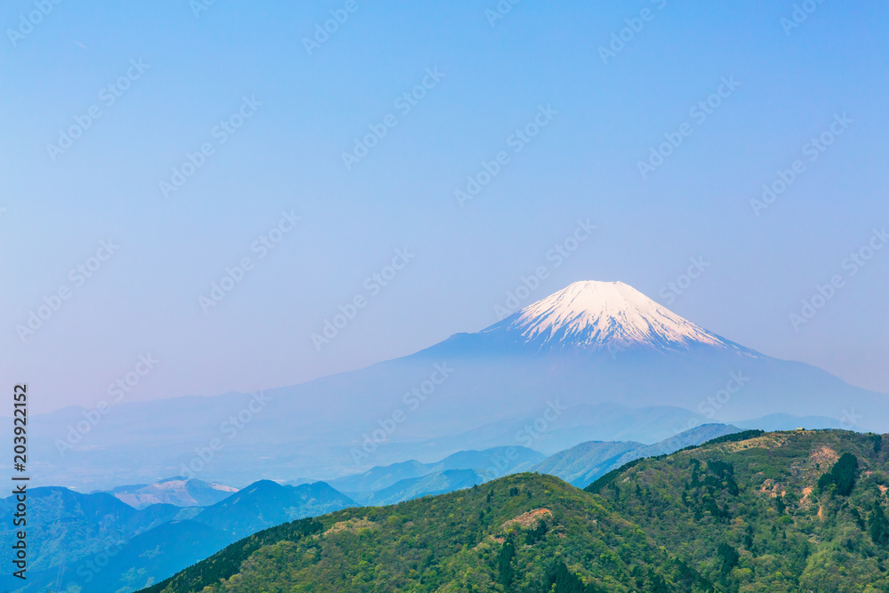 新緑の山と富士山