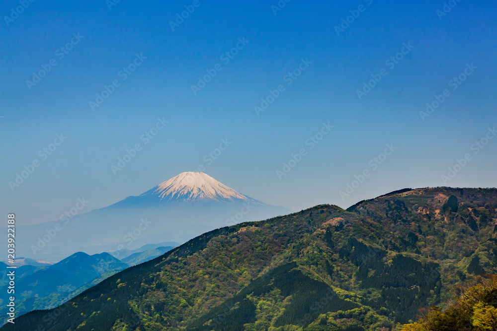 新緑の山と富士山