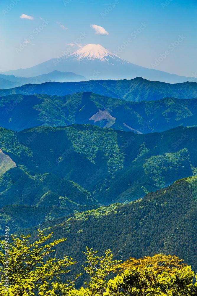 新緑の山と富士山