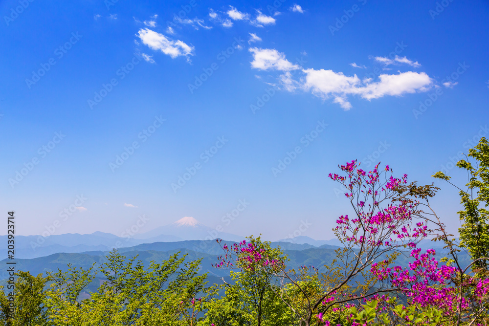 新緑の山と富士山