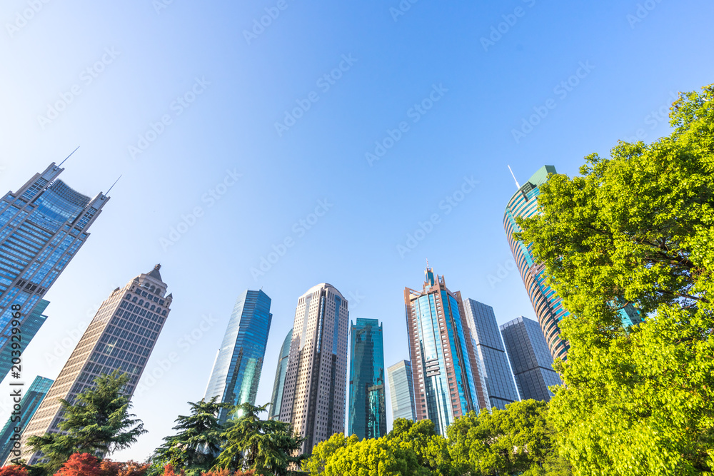 城市天际线全景