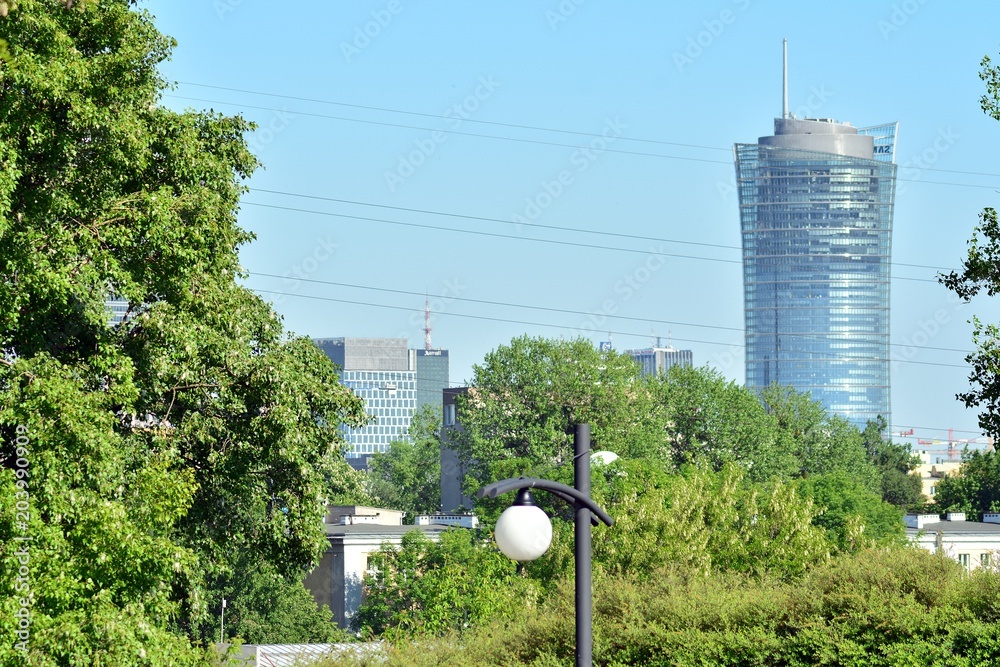 Park in the city