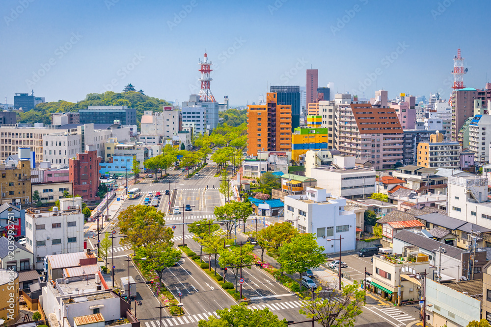 日本和歌山市天际线