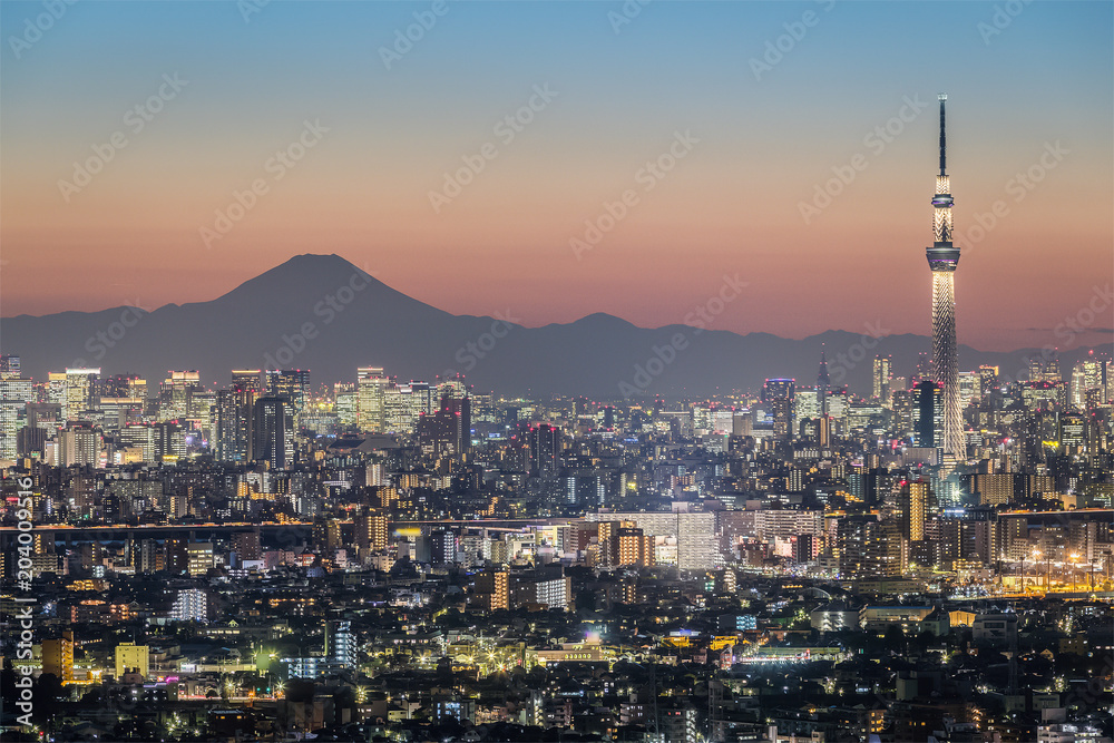 东京夜景，东京天树地标，东京市中心建筑区和胜利的富士山