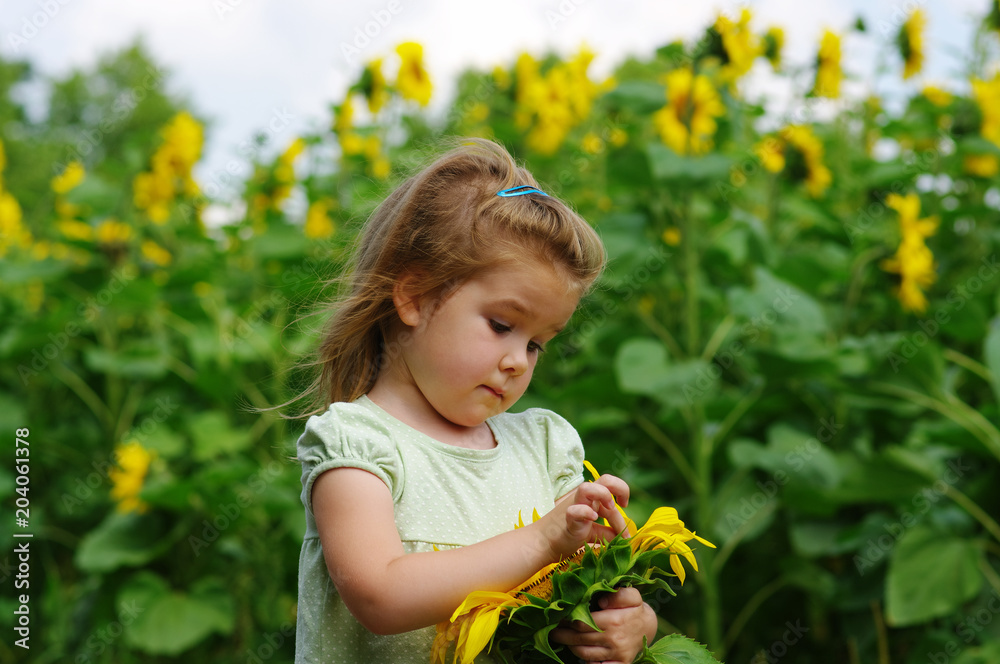  girl and sunflower on the field