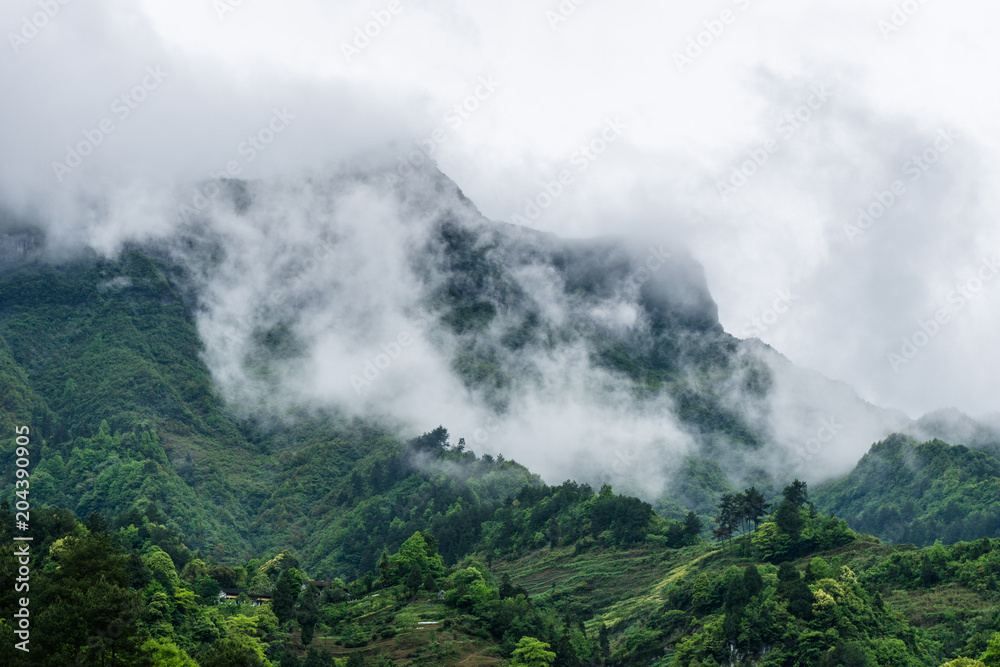 山中风景