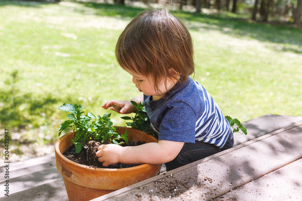 幼童帮助在花园花盆中种植植物