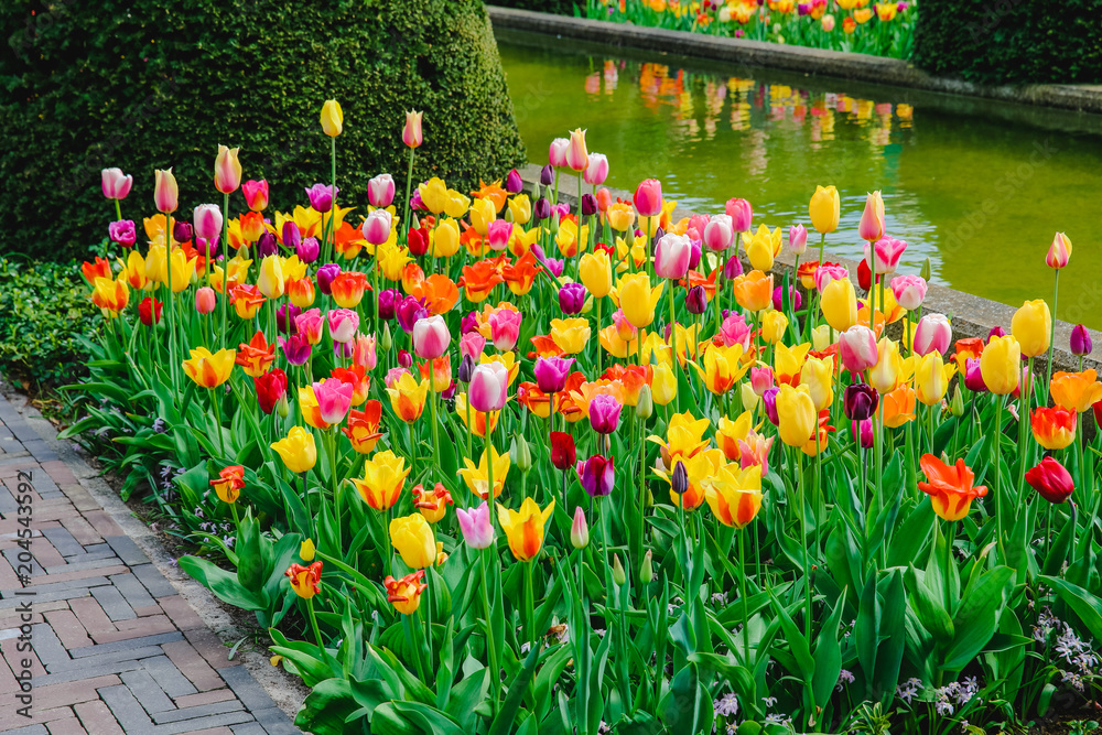 Keukenhof in Holland