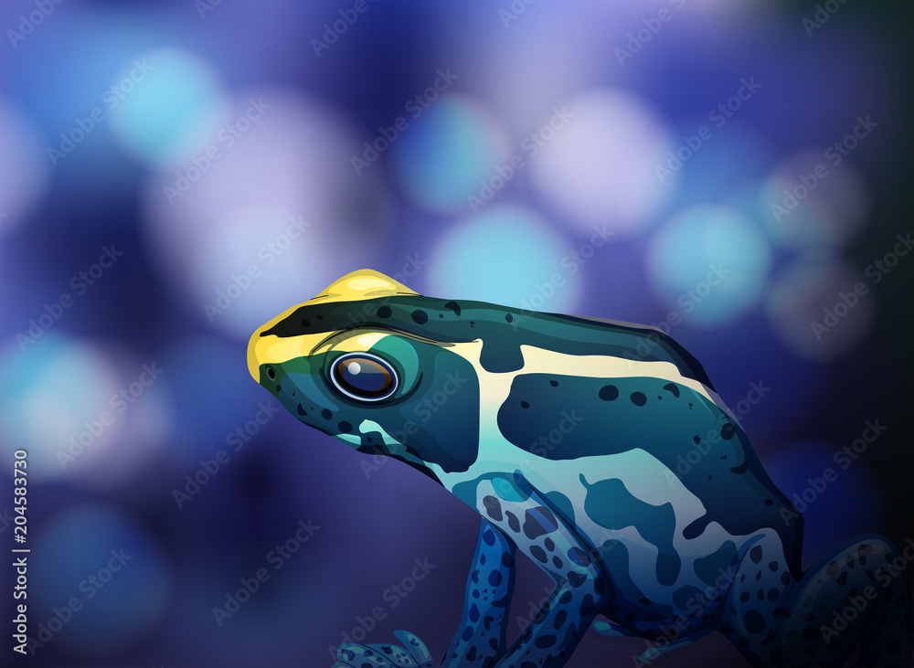 Poison Dart Frog?? on Blue Background