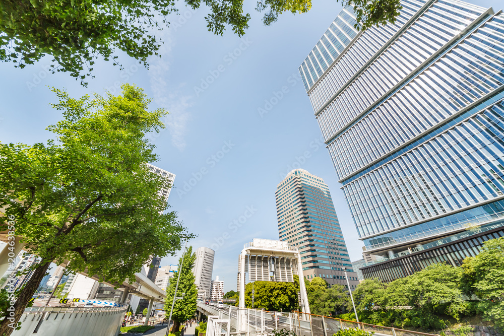 新緑と東京のビル群