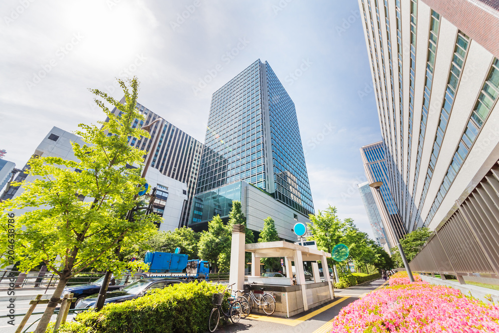 新緑と東京のビル群