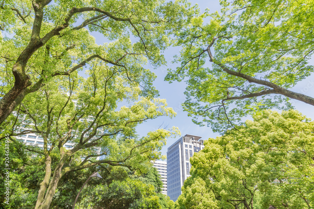 新緑と東京のビル群