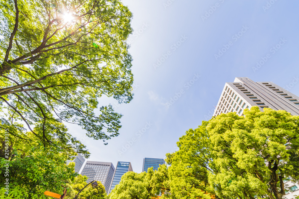 新緑と東京のビル群