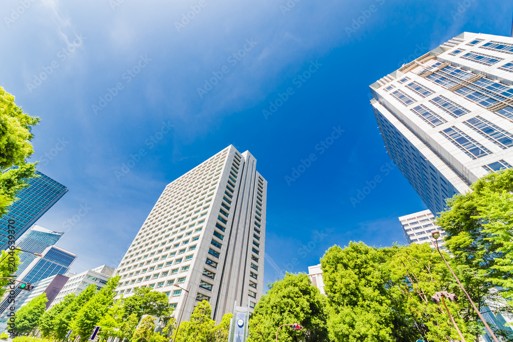 新緑と東京のビル群