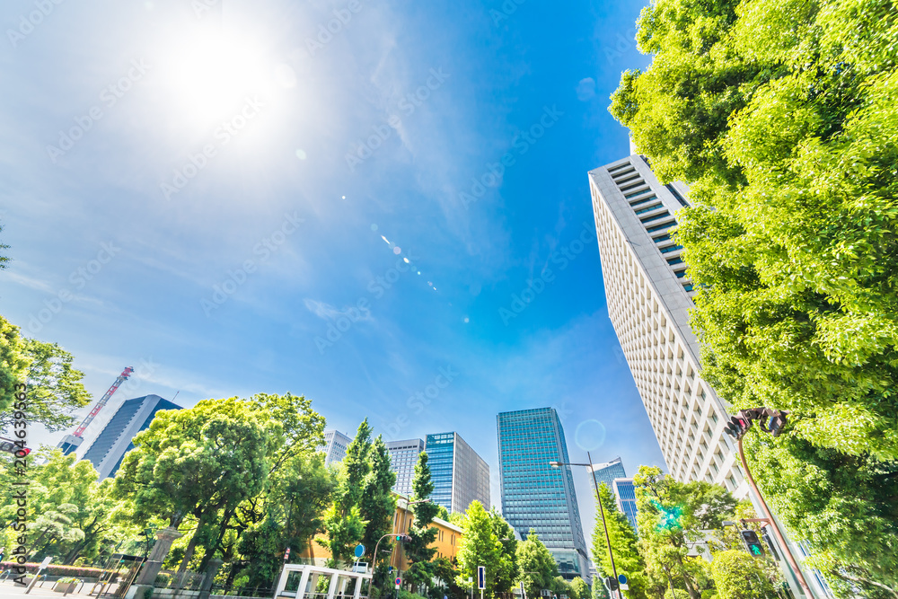 新緑と東京のビル群