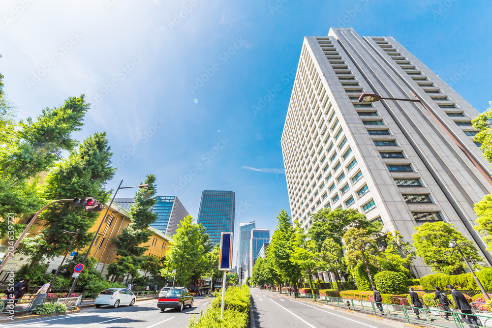 新緑と東京のビル群