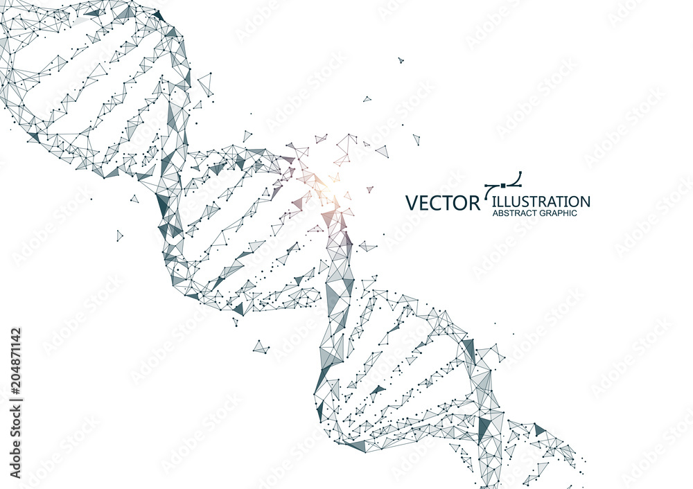 DNA abstract graphics, and the things of points and lines, vector background.