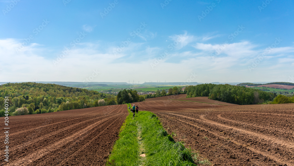 Trail runners running in beautiful nature landscape