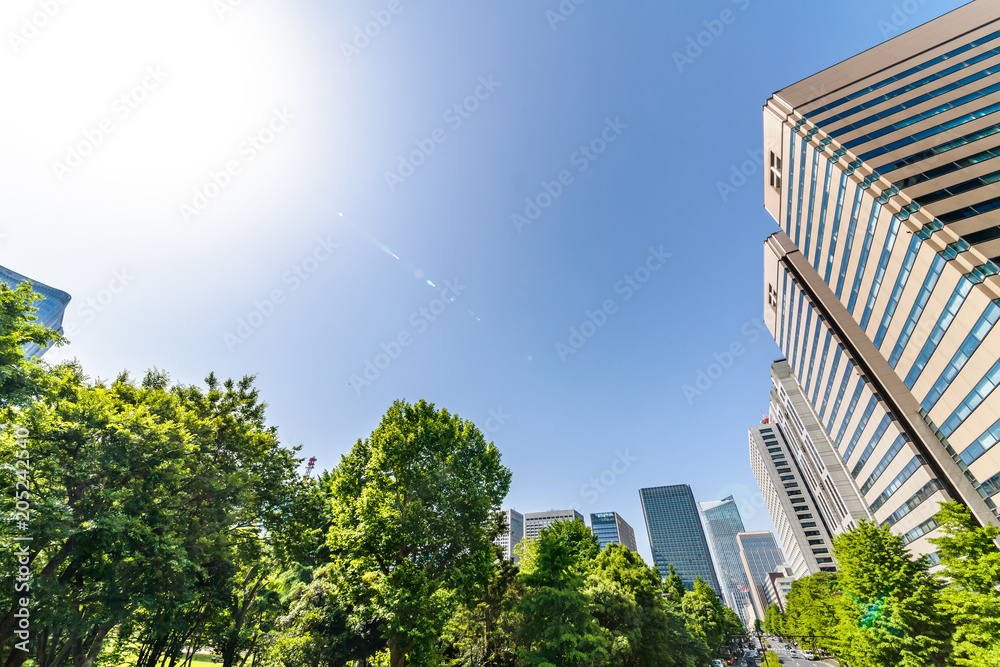 新緑と東京のビル群