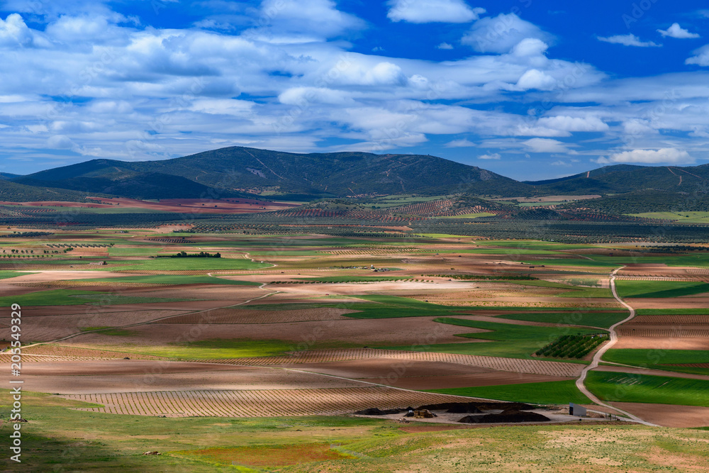 Spain. Castilla de la Mancha.Consuegra. Fields seen from the Calderico hill.