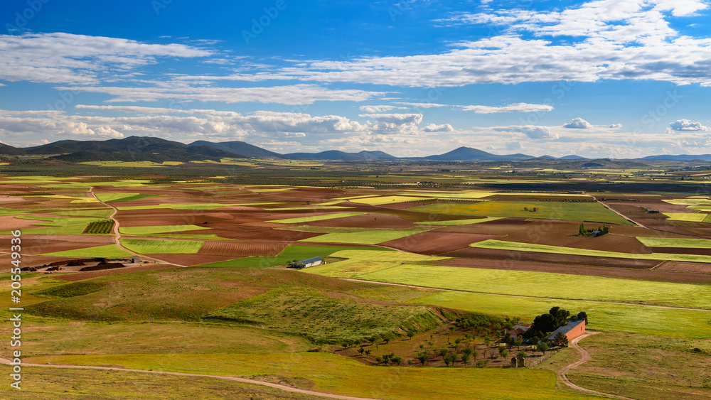 西班牙。Castilla de la Mancha.Consuegra。从卡尔德里科山上看到的田野。