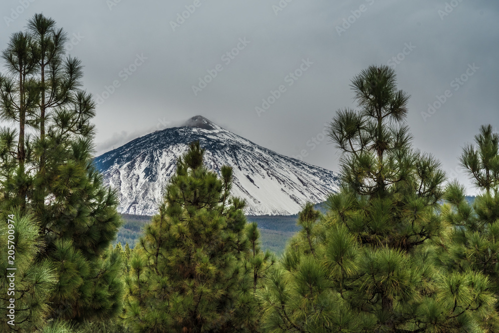 PUERTO DE LA CRUZ，特内里费/西班牙-2018年2月23日：特内里费岛泰德火山景观