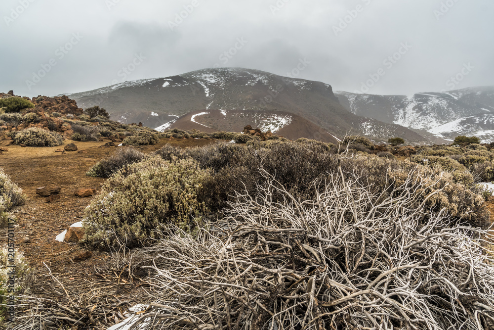 PUERTO DE LA CRUZ, TENERIFE / SPAIN - FEBRUARY 23 2018: View at volcano Teide on Tenerife island