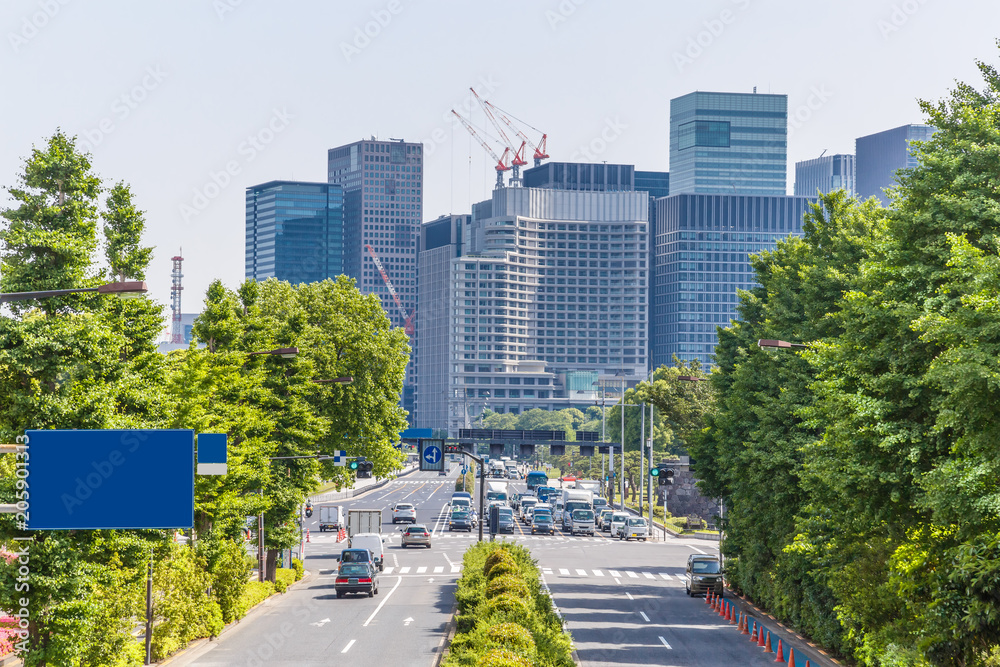 新緑と東京のビル群