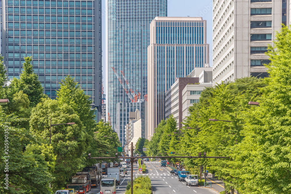 新緑と東京のビル群