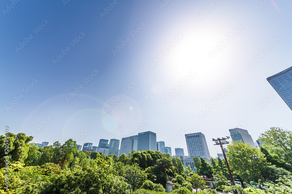 新緑と東京のビル群