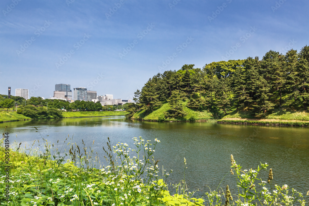 東京都市部の自然