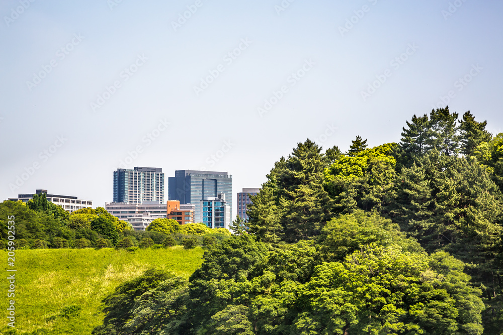 東京都市部の自然