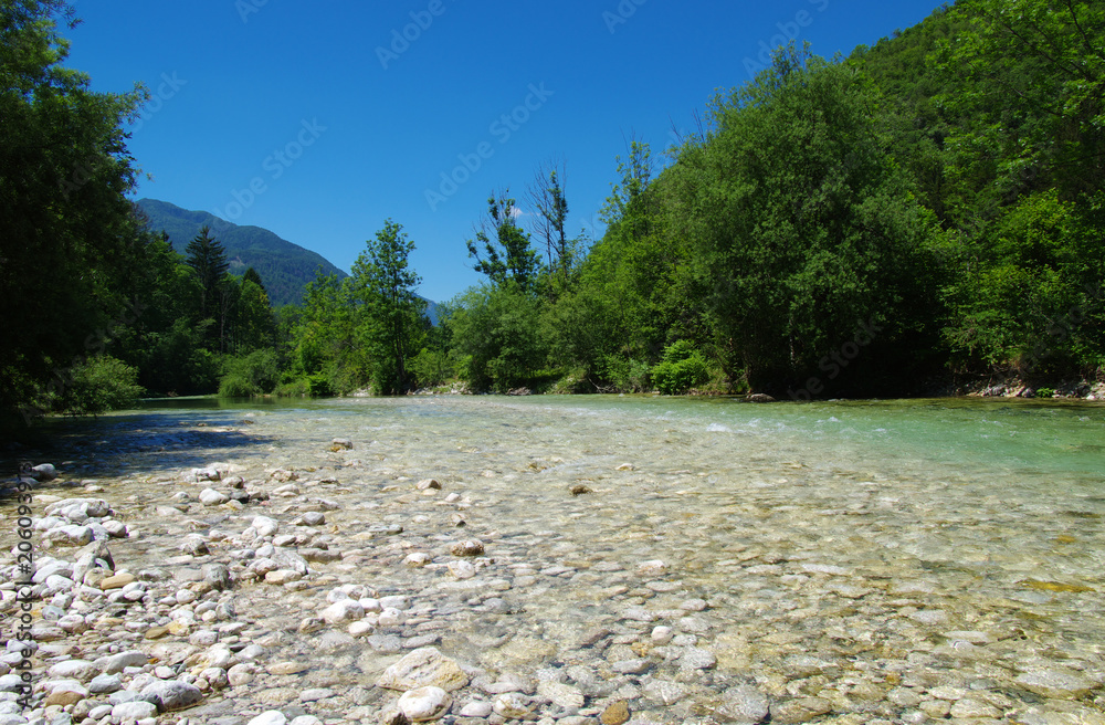 森林与河流