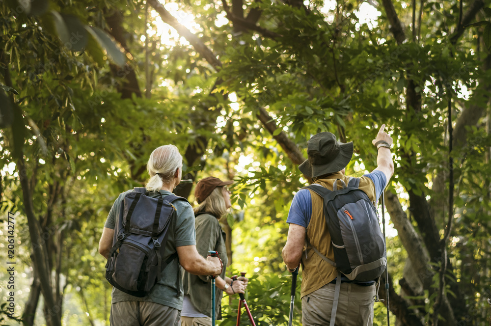 老年人在森林中徒步旅行