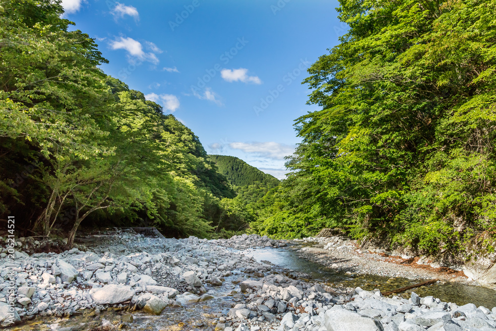 山奥の川