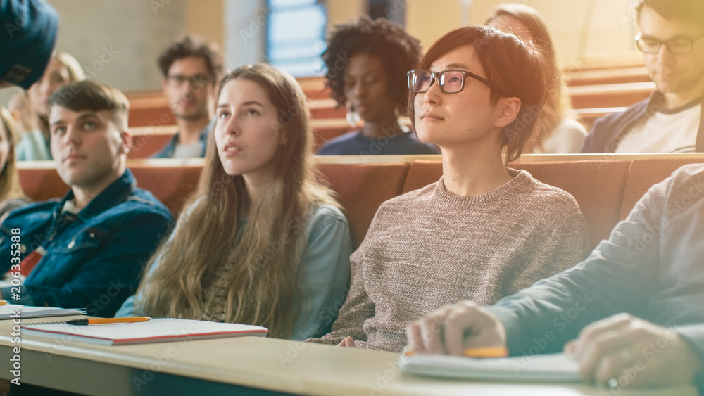 大学教授为多民族学生授课。杰出讲师