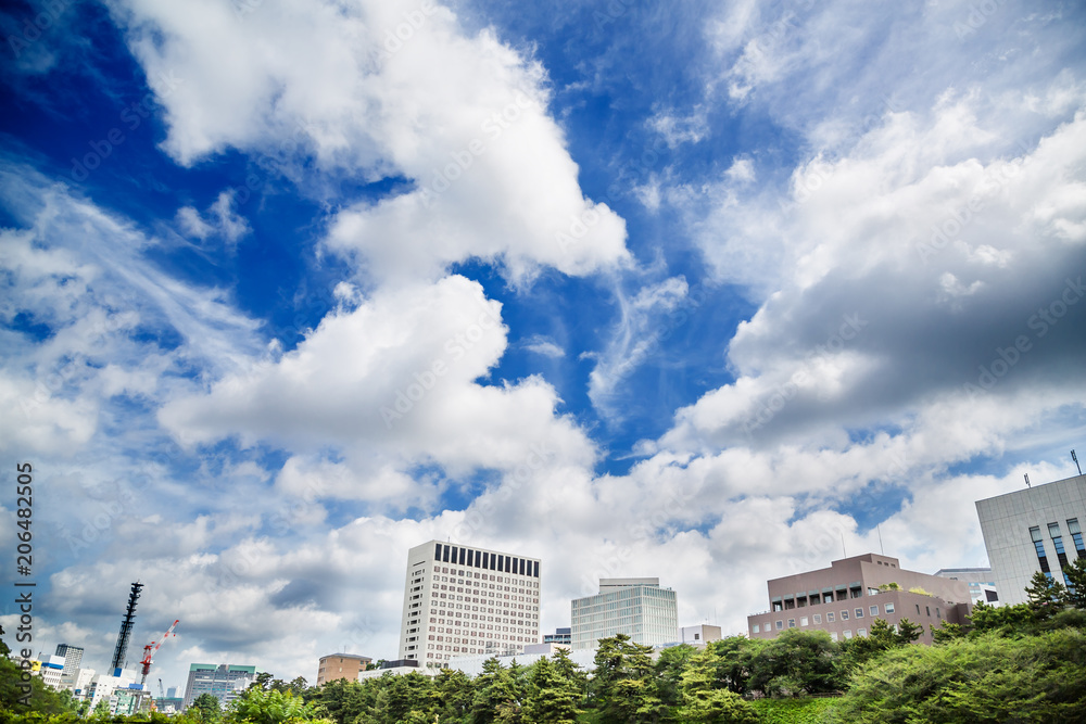 東京の新緑と空