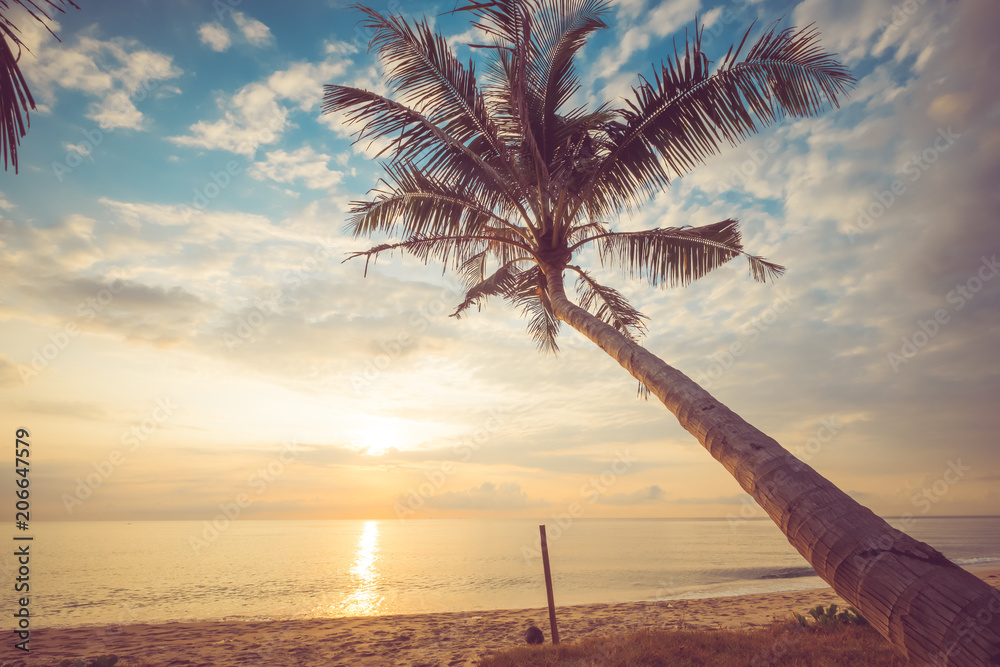 日出时有棕榈树的美丽热带海滩海景。夏日背景下的海景海滩。