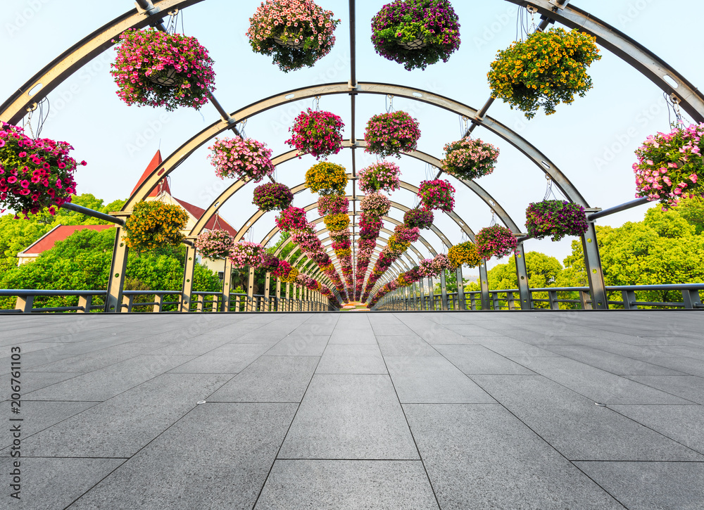 空荡荡的方形地板和拱形牵牛花隧道