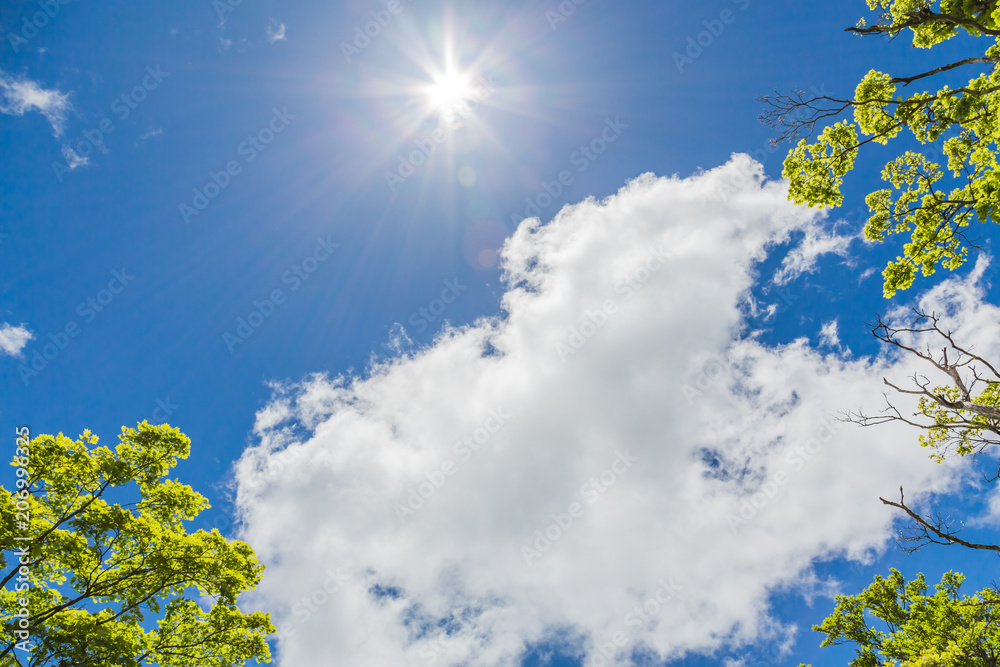 青空と雲と新緑