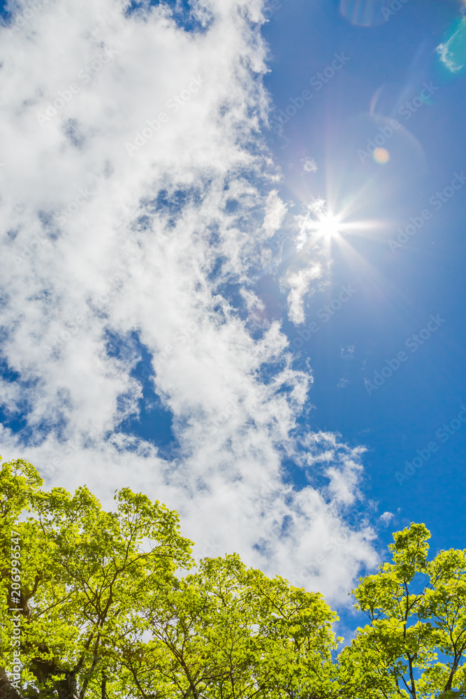 青空と雲と新緑