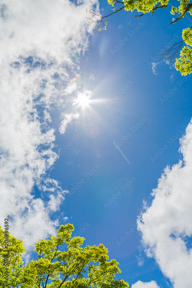 青空と雲と新緑