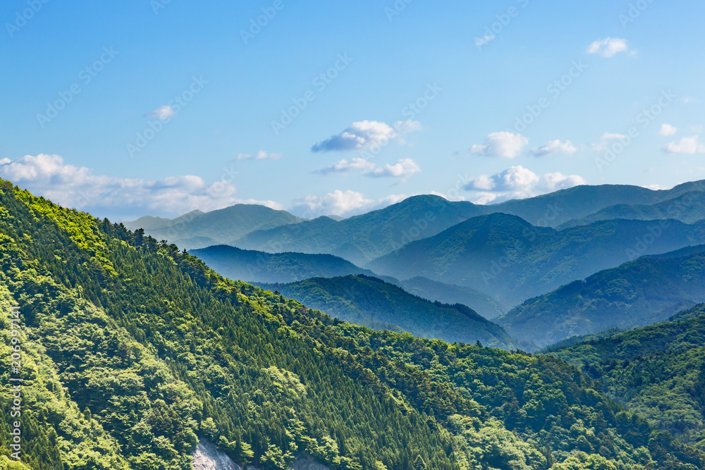 新緑の山